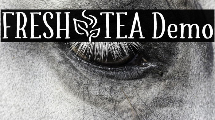 FRESH_TEA Demo Example 3