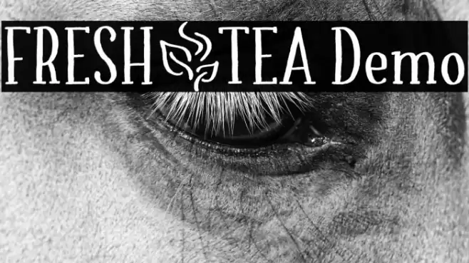 FRESH_TEA Demo Font examples