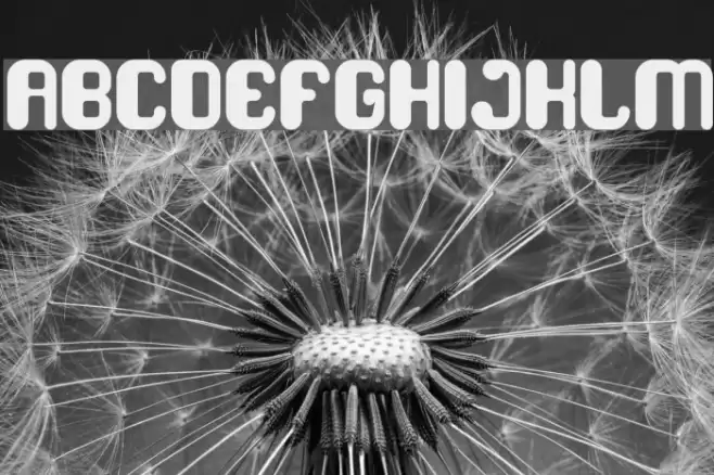 FRIENDLY ROBOT Bold Font examples