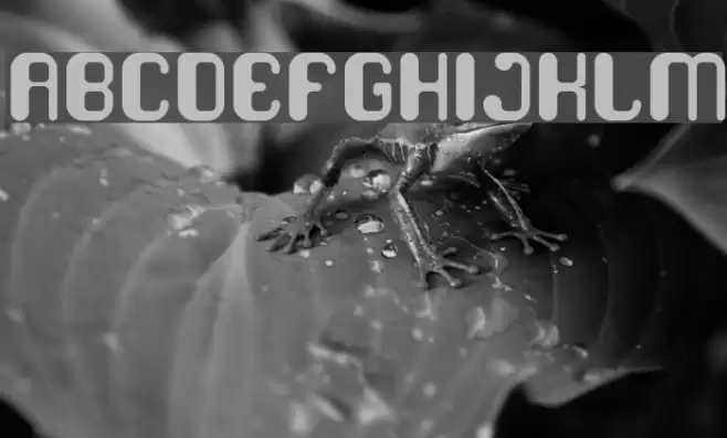 FRIENDLY ROBOT-Light Font examples