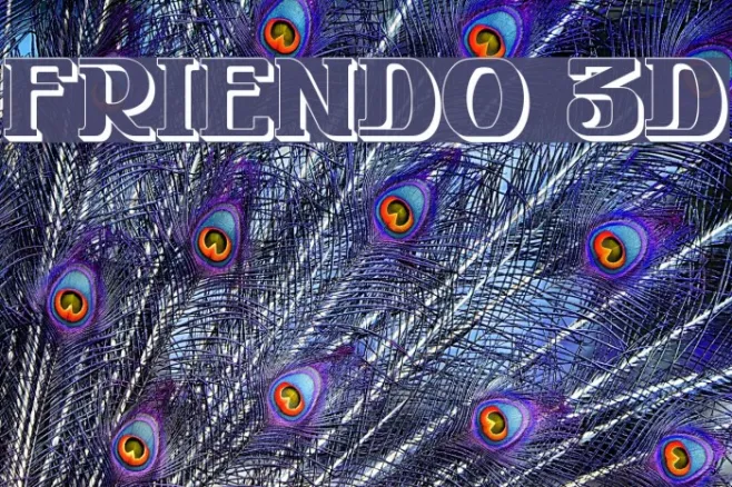 FRIENDO 3D Example 1