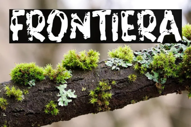 FRONTIERA Example 1
