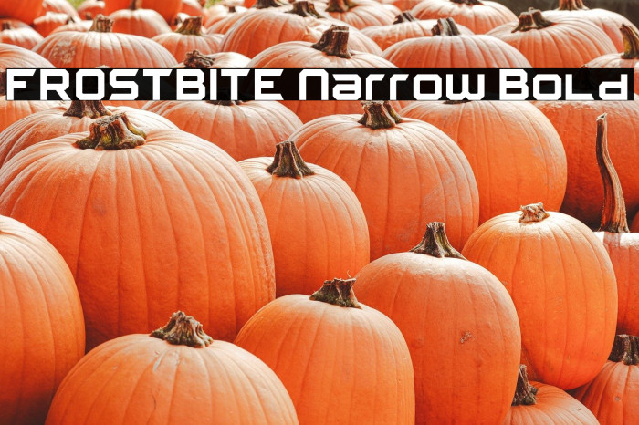 FROSTBITE Narrow Bold Example 1