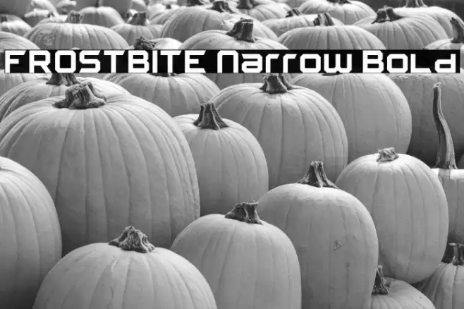 FROSTBITE Narrow Bold फ़ॉन्ट examples