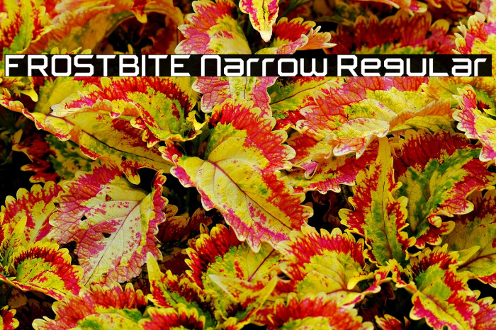 FROSTBITE Narrow Regular Example 1