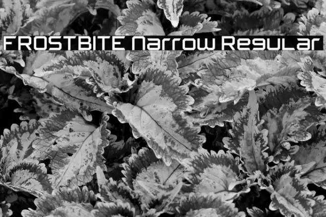 FROSTBITE Narrow Regular Font examples
