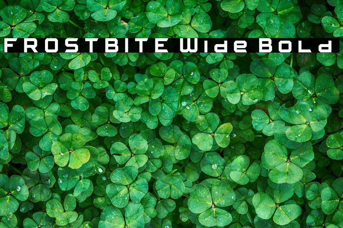 FROSTBITE Wide Bold Example 1