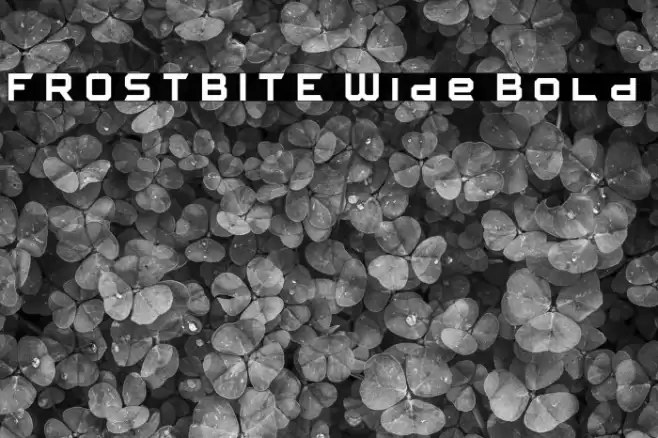 FROSTBITE Wide Bold フォント examples