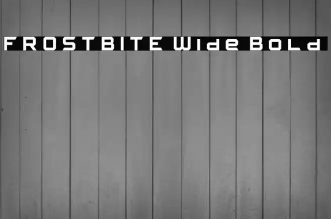 FROSTBITE Wide Bold フォント examples