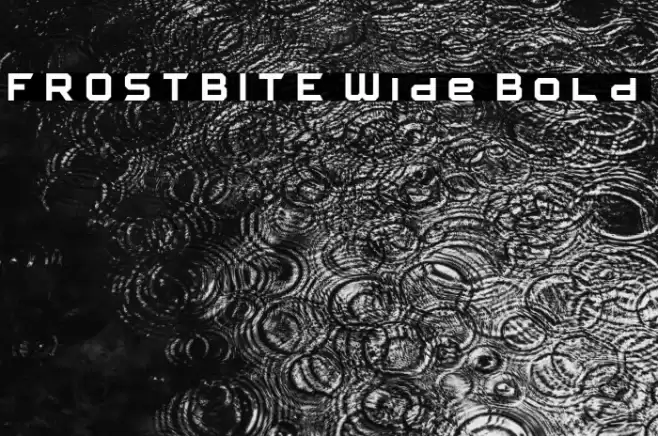 FROSTBITE Wide Bold フォント examples