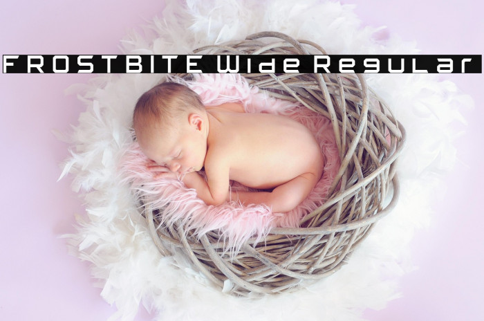 FROSTBITE Wide Regular Example 2