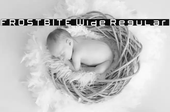 FROSTBITE Wide Regular خط examples