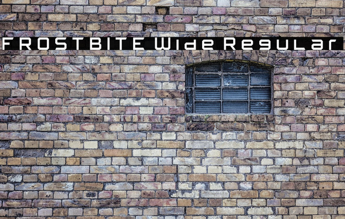 FROSTBITE Wide Regular Example 3