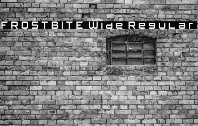 FROSTBITE Wide Regular خط examples