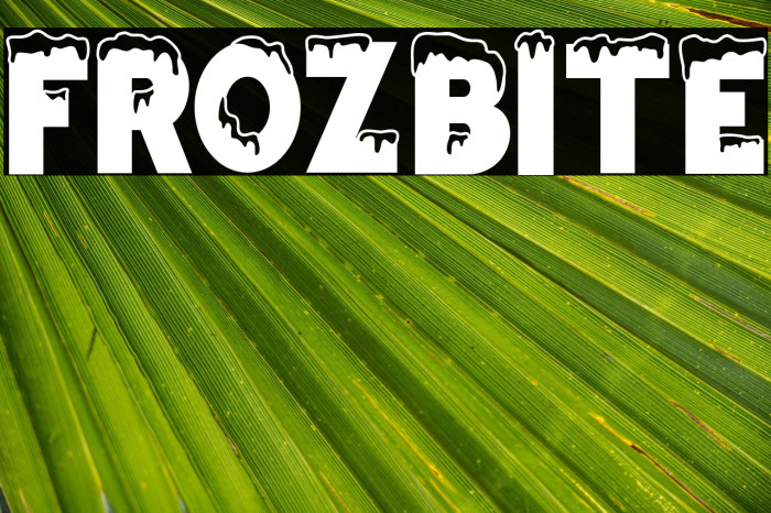 FROZBITE Example 2