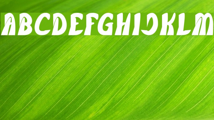 FROZEN ICE Bold Font examples