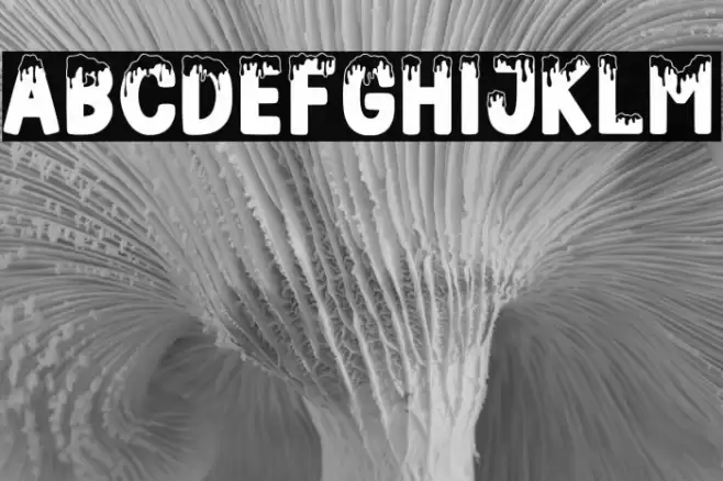 FROZENLAND Regular Schriftart examples