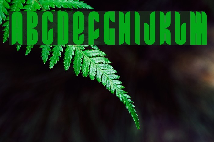 FRRamaNous Example 1