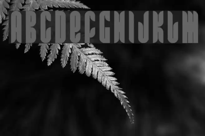 FRRamaNous Font examples