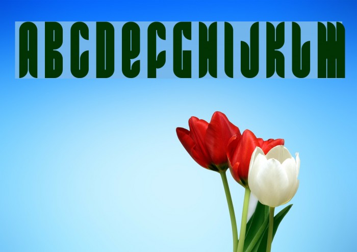 FRRamaNous Example 3