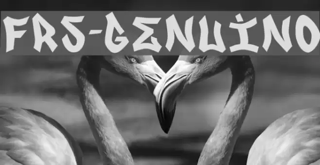 FRS-GENUINO Font examples