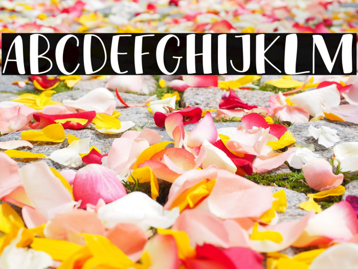 FRUIT BANANA Example 3