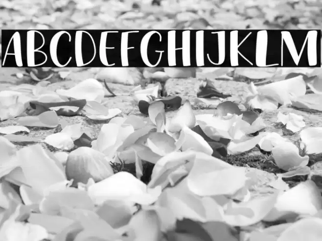 FRUIT BANANA Font examples