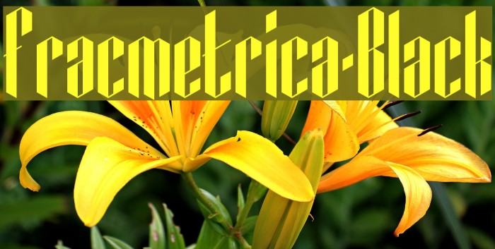 Fracmetrica-Black Example 1