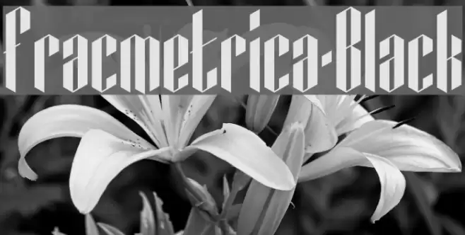 Fracmetrica-Black Font examples