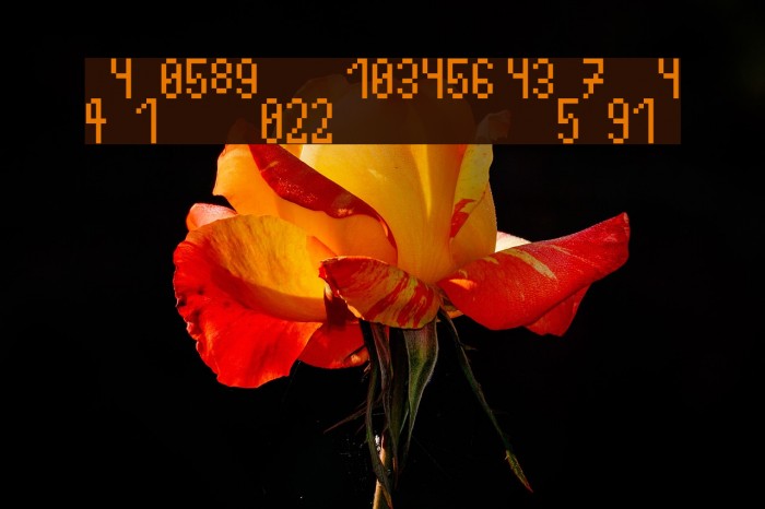 Fractionss AZERTY Regular Example 2