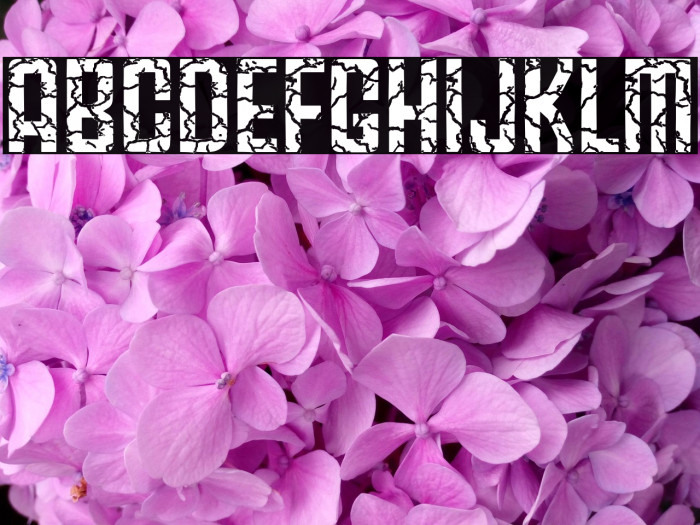 Fracture5758 Regular Example 3