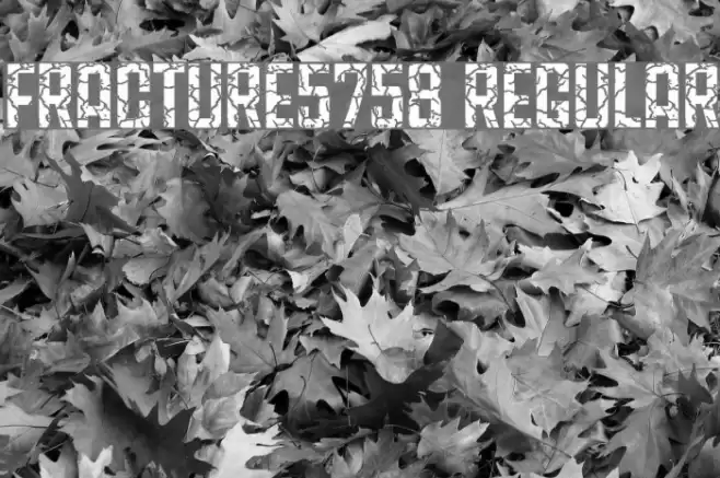 Fracture5758 Regular Font examples