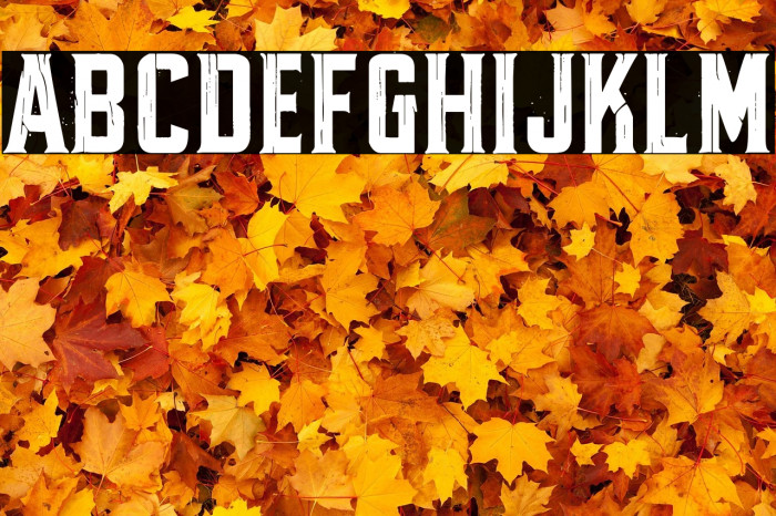 Fractured Fir Example 2