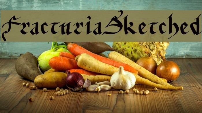 FracturiaSketched Font examples
