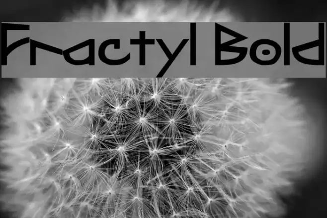 Fractyl Bold Font examples