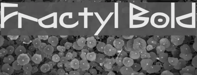 Fractyl Bold Font examples