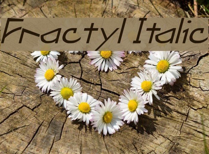 Fractyl Italic Font examples