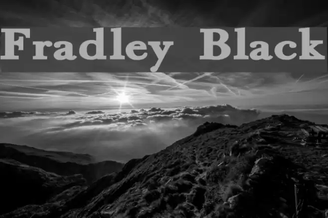 Fradley Black Font examples