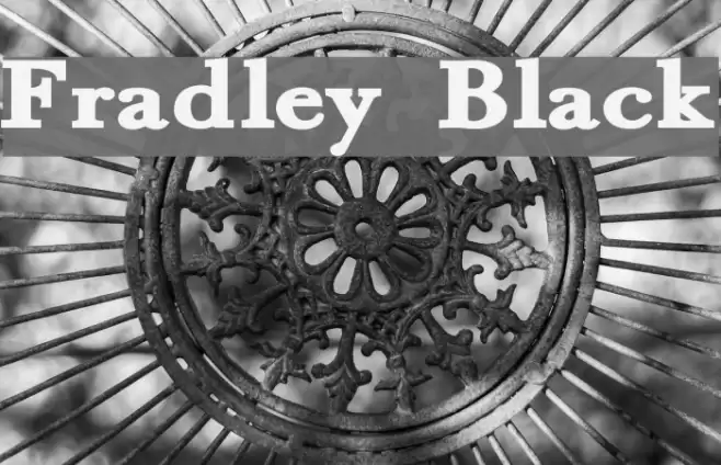 Fradley Black Font examples