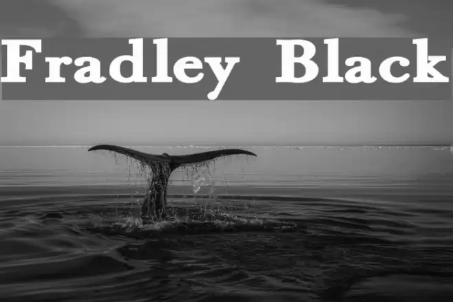 Fradley Black Font examples
