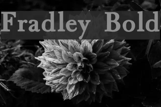 Fradley Bold Font examples