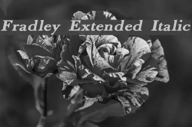 Fradley Extended Italic Font examples