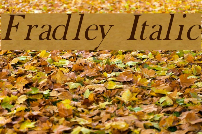 Fradley Italic Font examples