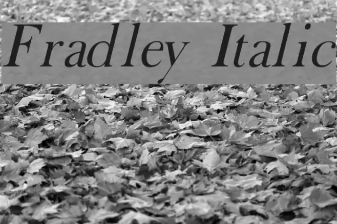 Fradley Italic Font examples