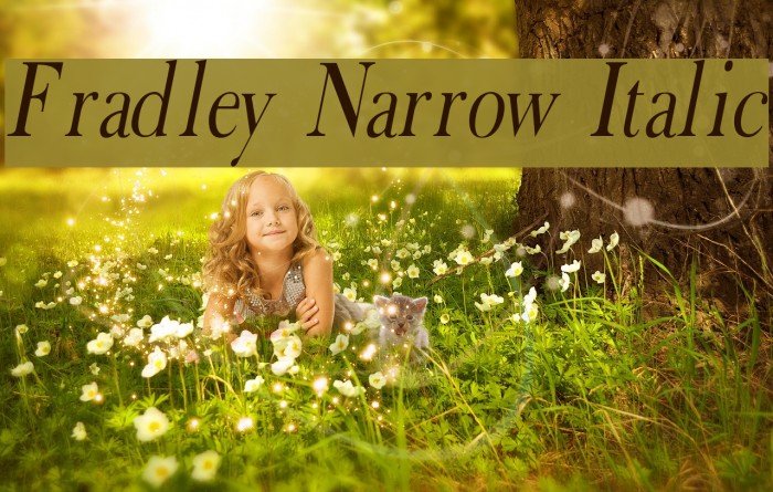 Fradley Narrow Italic Font examples