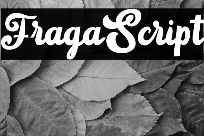 FragaScript Font examples