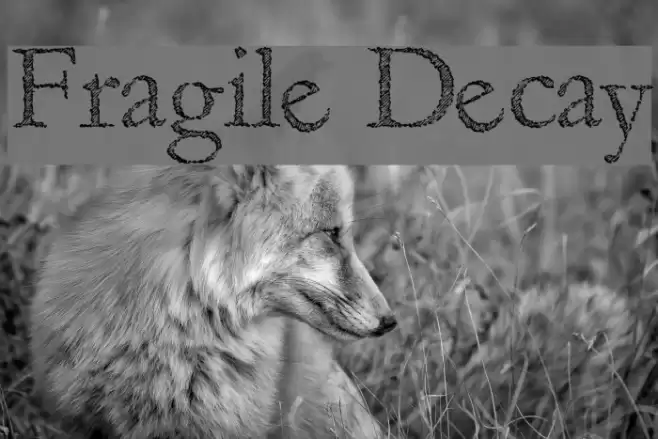 Fragile Decay Font examples