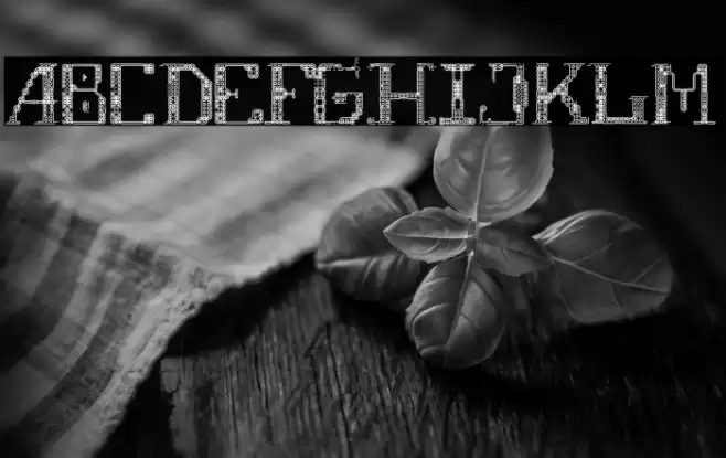 Fragile-Regular Font examples