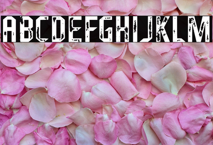 FragileBombersAttack-Regular Example 3