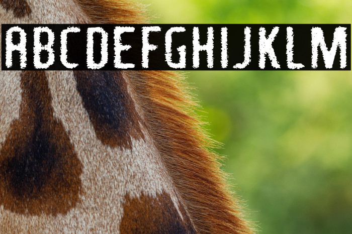 FragileBombersDown-Regular Example 1